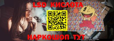 прущие грибы Донецк