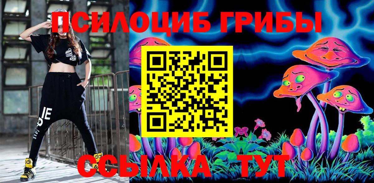 Галлюциногенные грибы Psilocybe Канаш