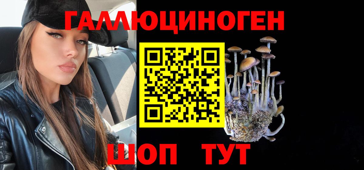 Галлюциногенные грибы Psilocybe  Вход с VPN  как найти закладки  Канаш 