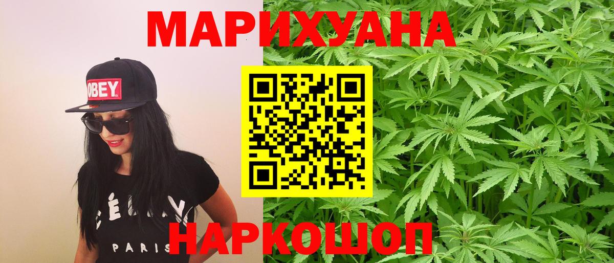 Конопля конопля  Конопля планчик  Канаш 